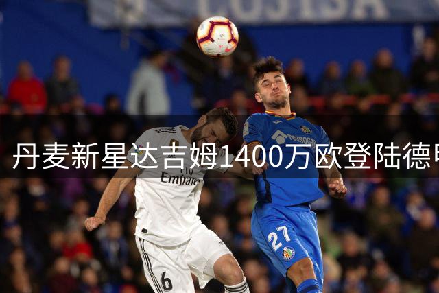 丹麦新星达吉姆1400万欧登陆德甲 霍芬海姆锁定未来锋线核心