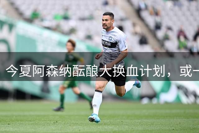 今夏阿森纳酝酿大换血计划，或一口气清洗8大悍将，豪购两大巨星