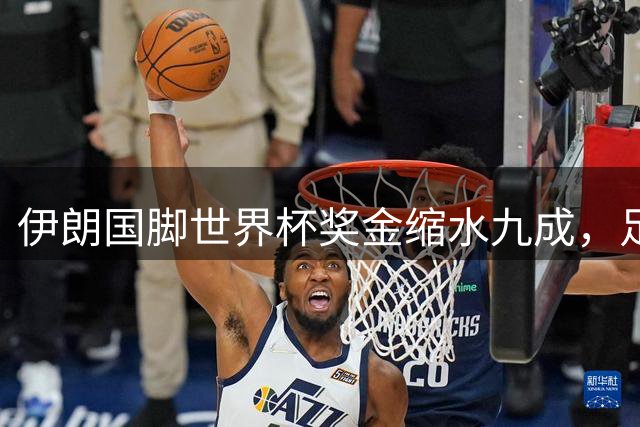 伊朗国脚世界杯奖金缩水九成，足协分配方案引发球队不满