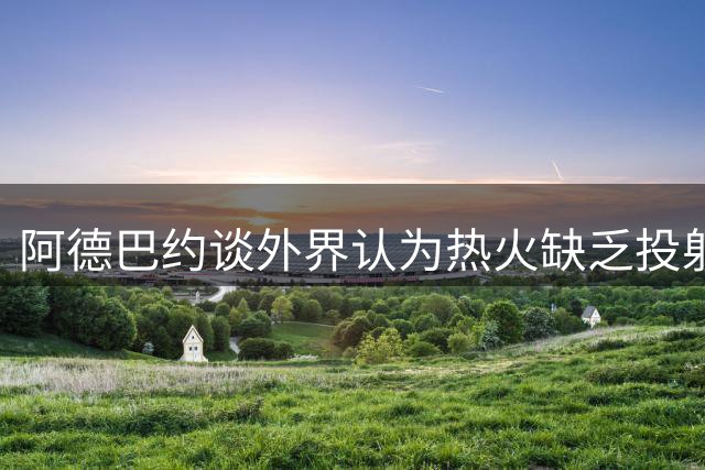 阿德巴约谈外界认为热火缺乏投射：并不为此担忧 办法总比困难多